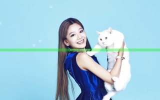 纪元2205怎么赚钱 赚钱途径介绍